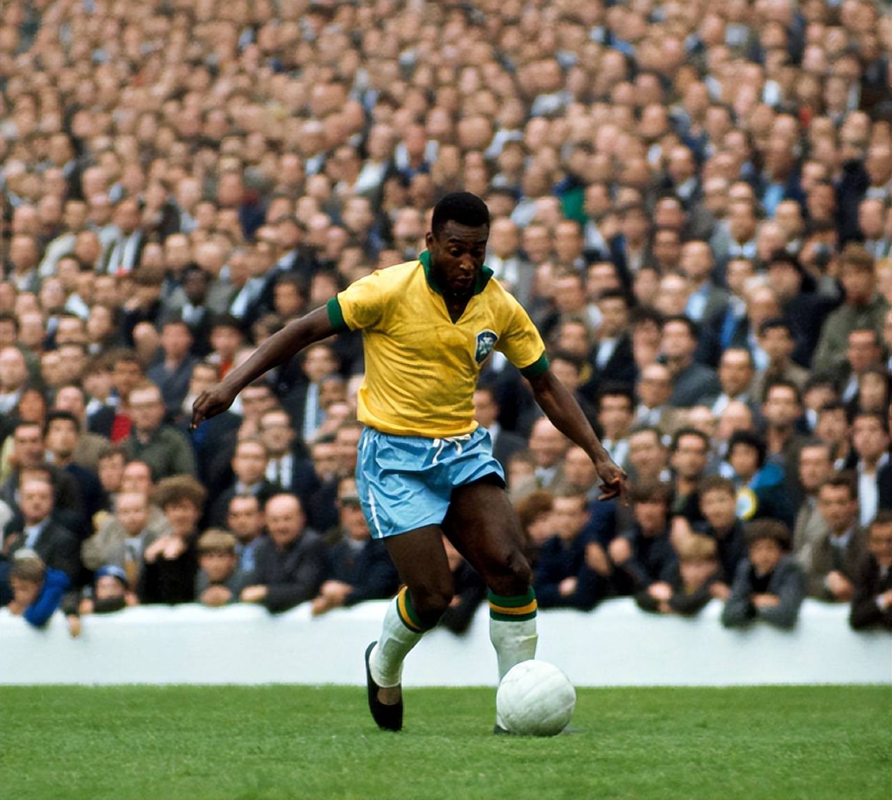 赛训一体化 赛训一体化