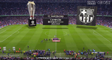 术上限的球 术上限的球