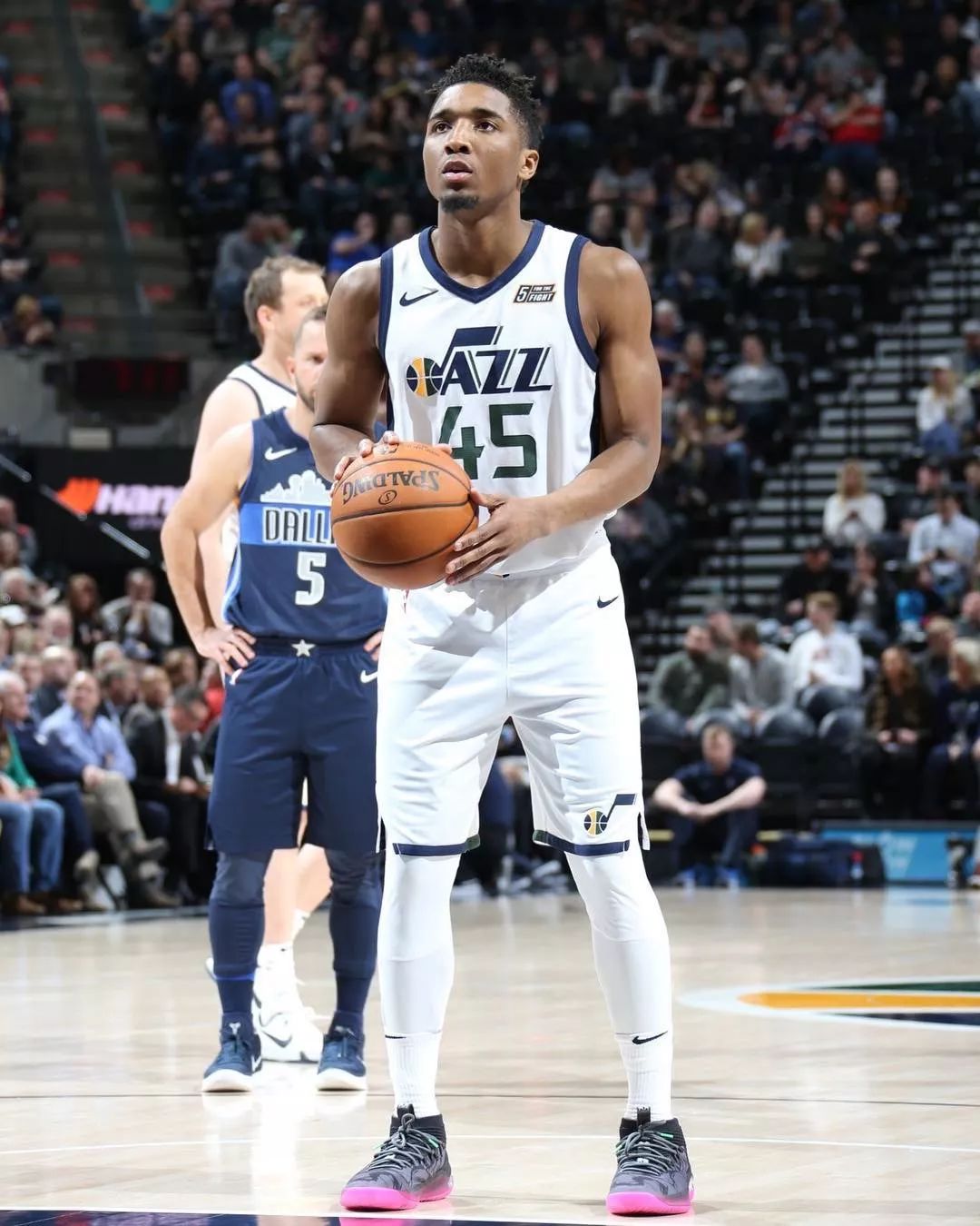 叫牌结构 叫牌结构